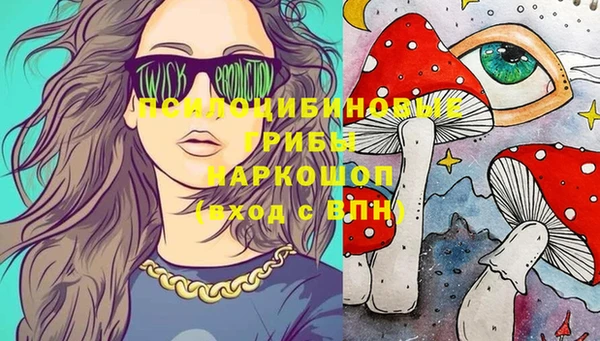 дживик Абинск
