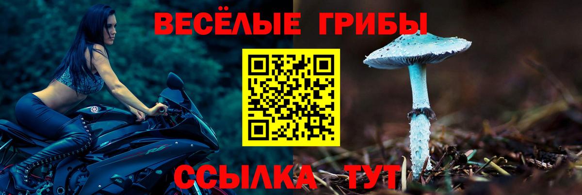 Галлюциногенные грибы прущие грибы  Псилоцибиновые грибы мицелий  Отрадный  Вход с VPN 