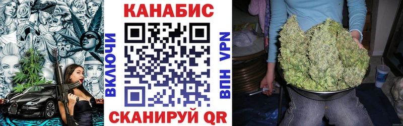 МАРИХУАНА ГИДРОПОН  нарко площадка какой сайт  Отрадный  mega ссылка 